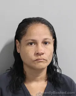 Mugshot of Iris Soria booked in Polk County, Florida on September 13, 2026