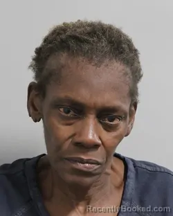 Mugshot of Linda Austin booked in Polk County, Florida on September 15, 2026
