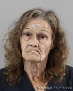 Mugshot of Diana Boyle booked in Polk County, Florida on September 15, 2026