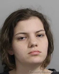 Mugshot of Kayla Hinks booked in Polk County, Florida on September 15, 2026