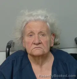 Mugshot of Faith Vasi booked in Polk County, Florida on September 22, 2026