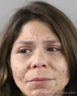 Mugshot of Camila Ibacache booked in Polk County, Florida on September 23, 2026