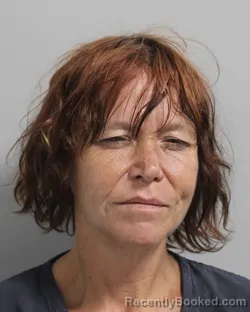 Mugshot of Tonya Knowles booked in Polk County, Florida on September 23, 2026