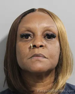 Mugshot of Teneka Mckinzie booked in Polk County, Florida on September 24, 2026