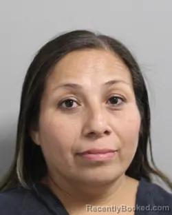 Mugshot of Maria Estrada Serrano booked in Polk County, Florida on September 24, 2026