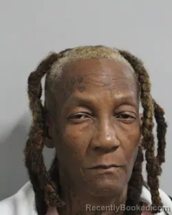 Mugshot of Susan Kellum booked in Polk County, Florida on September 25, 2026