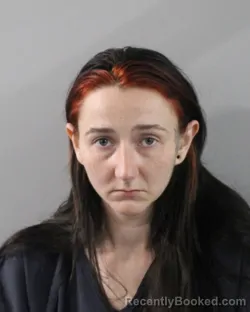Mugshot of Anna Hilbrands booked in Polk County, Florida on September 25, 2026