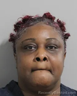 Mugshot of Dawn Mathis booked in Polk County, Florida on September 26, 2026