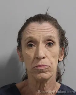 Mugshot of Janet Dees booked in Polk County, Florida on September 29, 2026