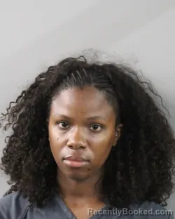 Mugshot of Dominique Mckinney booked in Polk County, Florida on October 3, 2026