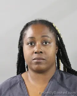 Mugshot of Brittany Mcnealy booked in Polk County, Florida on October 10, 2026