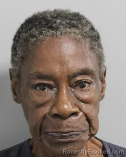 Mugshot of Sandra Leonard booked in Polk County, Florida on October 17, 2026