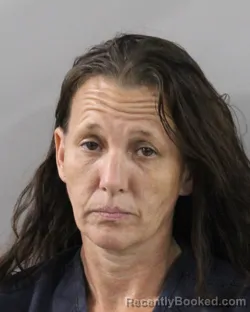 Mugshot of Ginger Medders booked in Polk County, Florida on October 18, 2026