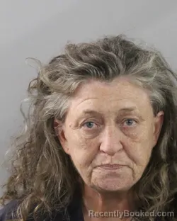 Mugshot of Andrea Moles booked in Polk County, Florida on October 18, 2026