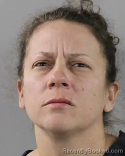 Mugshot of Sharon Villanueva booked in Polk County, Florida on October 18, 2026
