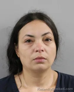 Mugshot of Mariluz Molina booked in Polk County, Florida on October 18, 2026