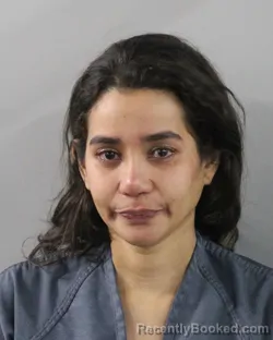 Mugshot of Natalia Espriella Gaviria booked in Polk County, Florida on October 18, 2026
