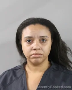 Mugshot of Amanda Lopez booked in Polk County, Florida on October 19, 2026