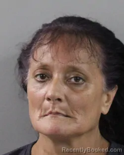 Mugshot of Hope Cogswell booked in Polk County, Florida on October 19, 2026