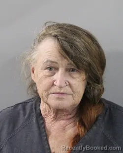 Mugshot of Sandra Medina booked in Polk County, Florida on October 19, 2026