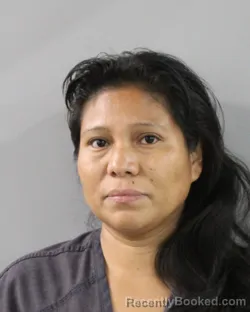 Mugshot of Matilde Ramirez booked in Polk County, Florida on October 20, 2026