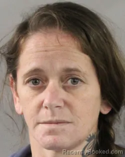 Mugshot of Carolyn Hamm booked in Polk County, Florida on October 22, 2026