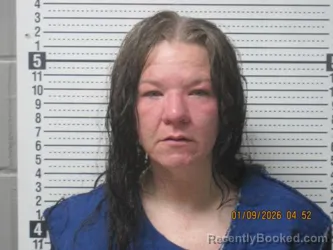 Mugshot of Tiffany Raye Holloway