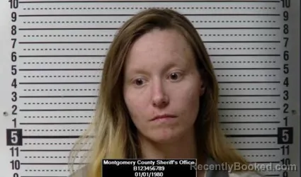 Mugshot of Breeaanna Louise Holcomb