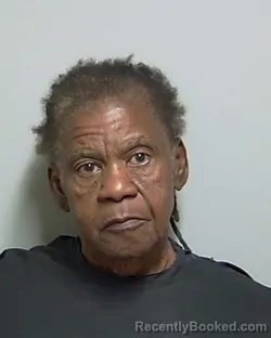 Mugshot of NITA JEAN BRYANT