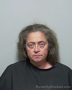 Mugshot of WENDI JEAN WARD