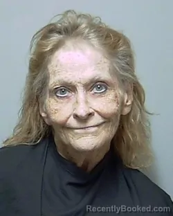 Mugshot of VIRGINIA LEIGH MILLS booked in Putnam County, Florida on May 9, 2026