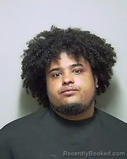 Mugshot of JORDAN DEVINCENT BROWN