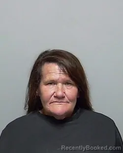 Mugshot of BILLIEJO PYLES booked in Putnam County, Florida on April 17, 2026