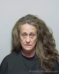 Mugshot of WENDY LEIGH MESSER