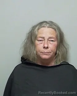 Mugshot of TINA MARIE BARNARD