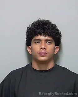 Mugshot of JORGE LUIS IBARRA