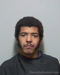 Mugshot of MELVIN ANTHONY LARK