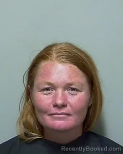 Mugshot of CRYSTAL LYNN GIBSON booked in Putnam County, Florida on May 28, 2026