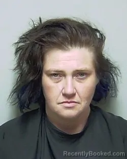 Mugshot of RHONDA MICHELLE TIPPETT