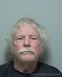 Mugshot of JOHN BRUCE LEVIS