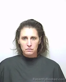 Mugshot of SHANNON NICHOLE SHEFFIELD booked in Putnam County, Florida on April 21, 2026