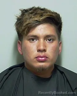 Mugshot of LUIS ARMANDO GARMENDIA OSORIO