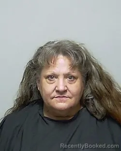 Mugshot of TAMATHA LYNN DAVIS booked in Putnam County, Florida on June 16, 2026