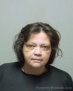 Mugshot of MARY ELLEN MARIE WILKINSON booked in Putnam County, Florida on June 29, 2026