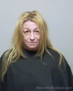Mugshot of TRICIA RENEE PARRISH booked in Putnam County, Florida on July 1, 2026