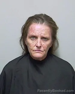 Mugshot of ELIZABETH ANNE WHITE booked in Putnam County, Florida on July 28, 2026