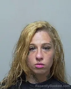 Mugshot of EMILY MICHELLE RICE booked in Putnam County, Florida on August 3, 2026