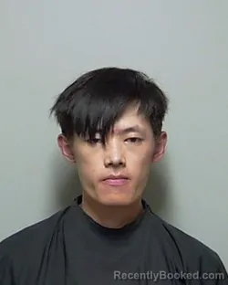 Mugshot of JUNWEI LIN