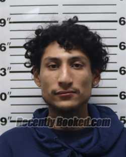 Booking photo from Pratt County, Kansas