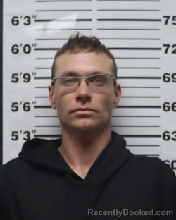 Mugshot of Shawn Aron Cook